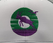 Antelope Donut Sunset Mexico Colors on a Green and White Snapback Trucker Hat