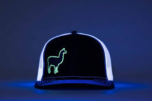Phish Llama Silver and Green Glow In The Dark on a Green and White Snapback Trucker Hat