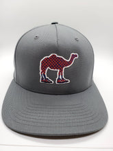 Phish Camel Walk Flint Grey Glow in the Dark Trucker Hat Solid Back