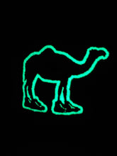 Phish Camel Walk Flint Grey Glow in the Dark Trucker Hat Solid Back