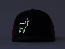 Phish Llama Navy blue and Red Glow In The Dark Snapback Trucker Hat