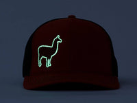 Phish Llama Orange and Black Glow in the Dark Snapback Trucker Hat