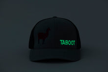 Phish Llama Taboot Glow In The Dark Heather Grey Trucker Hat