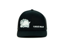 Clueless Wallob Turtle in the Clouds Phish Hat