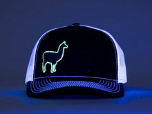 Phish Llama Silver and Navy Glow In The Dark on a Navy Blue and White Snapback Trucker Hat