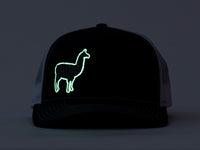 Phish Llama Silver and Navy Glow In The Dark on a Navy Blue and White Snapback Trucker Hat