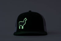 Phish Llama Silver and Green Glow In The Dark on a Green and White Snapback Trucker Hat